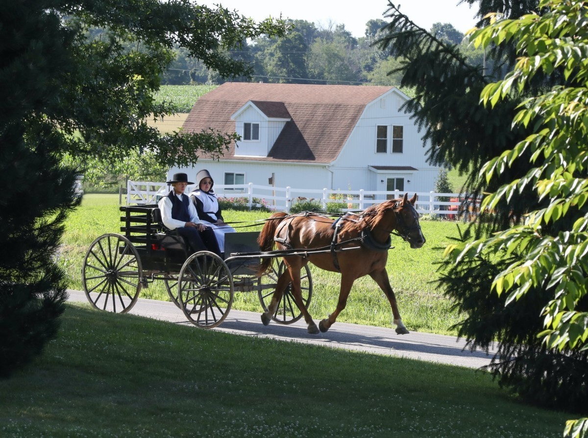 Mail-in voting may lead Amish to become deciding force in the 2024 election: GOP activist